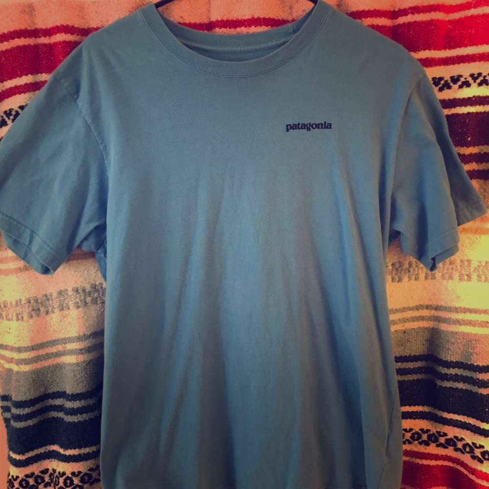Blue Patagonia Shirt